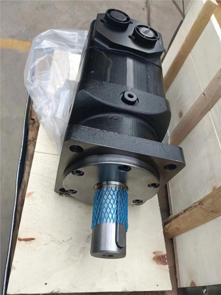 China Manufacturer Low Noise Hydraulic Motor BMR OMP,OMR,OMT,OMS,OMV 160 Shaft C Orbit Motor For Price